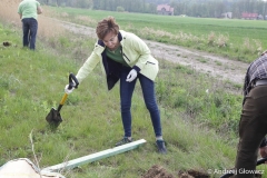 30.04.2019_sadzenie_debow_21