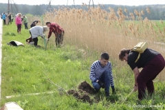 30.04.2019_sadzenie_debow_28