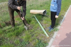 30.04.2019_sadzenie_debow_31