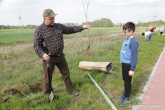 30.04.2019_sadzenie_debow_32