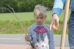 30.04.2019_sadzenie_debow_36