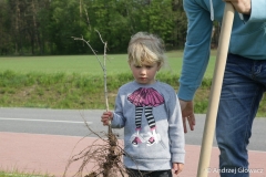 30.04.2019_sadzenie_debow_37