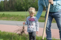 30.04.2019_sadzenie_debow_38