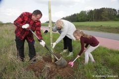 30.04.2019_sadzenie_debow_47