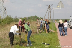 30.04.2019_sadzenie_debow_48