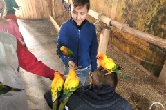 06.12.2019_papugarnia_hydropolis_5a_23