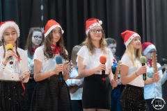 15.12.2019_xvii_koncert_bozonarodzeniowy_035