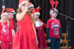 15.12.2019_xvii_koncert_bozonarodzeniowy_037