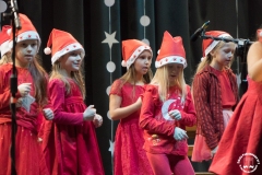 15.12.2019_xvii_koncert_bozonarodzeniowy_039