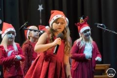 15.12.2019_xvii_koncert_bozonarodzeniowy_040
