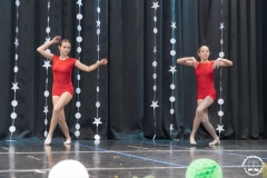 15.12.2019_xvii_koncert_bozonarodzeniowy_108