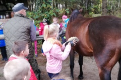 Wycieczka do stadniny koni "Turczynówka"