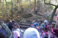 22.10.2019_wyieczka_zl_stok_kl3_64