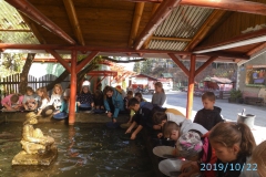 22.10.2019_wyieczka_zl_stok_kl3_75