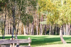 24.10.2019_czwartek_dzien_walki_z_otyloscia_40