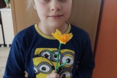 Akcja żonkile