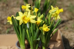 19.04.2021_akcja_zonkile_56