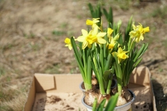 19.04.2021_akcja_zonkile_57
