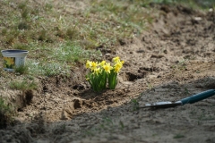 19.04.2021_akcja_zonkile_59