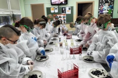 27.02.2022_uniwersytet_dzieci_co_ma_wspolnego_kapusta_z_kwasem_03