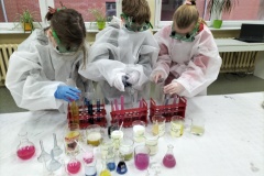 27.02.2022_uniwersytet_dzieci_co_ma_wspolnego_kapusta_z_kwasem_18