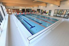 delfinek_01
