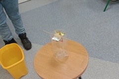 IMG_20240130_091718399_MFNR