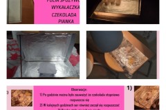Mikrofalowa