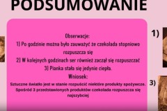mikrofala-Leny-i-Martyny-wnioski