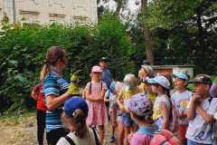 Zdjecie-WhatsApp-2024-05-22-o-22.20.40_a4412da1