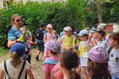 Zdjecie-WhatsApp-2024-05-22-o-22.20.50_4a54198b