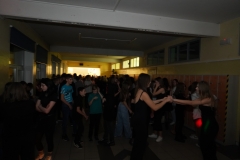 DSC07213