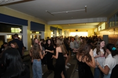 DSC07223
