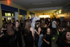 DSC07260