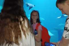 IMG-20230530-WA0009