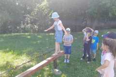 IMG-20230630-WA0031