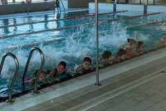 IMG-20230215-WA0031