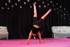 DSC01336