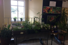 IMG_2449