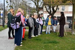 d23d239b-512e-4274-9102-67ca7c9feac3