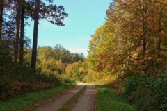 „Odkryj Dolinę Baryczy- projektowanie przez dzieci i młodzież szkolną wycieczek po regionie