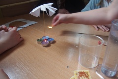 OLYMPUS DIGITAL CAMERA