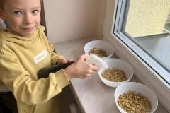 1_Zdjecie-WhatsApp-2024-03-01-o-16.33.25_0fbee861