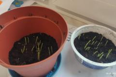 Zdjecie-WhatsApp-2024-03-01-o-16.30.21_17377fb9