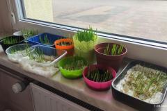 Zdjecie-WhatsApp-2024-03-01-o-16.30.21_490a67cf