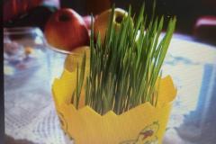 Zdjecie-WhatsApp-2024-03-03-o-17.00.19_e064e727