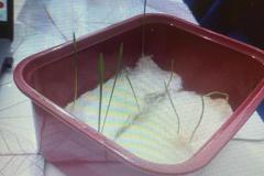 Zdjecie-WhatsApp-2024-03-03-o-17.00.24_9da5c838