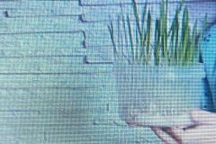 Zdjecie-WhatsApp-2024-03-03-o-17.00.29_b2689f4d