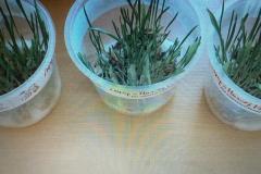 Zdjecie-WhatsApp-2024-03-03-o-17.00.32_b501a43e