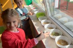 Zdjecie-WhatsApp-2024-03-05-o-12.26.28_ee3b14e6